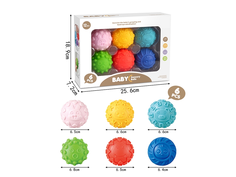 BABY SENSORY BALL 6PCS - HP1268577