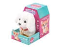 B/O PLUSH PET,2COLOURS(NOT INCLUDED BATTERY)