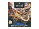 SQUISHY SCORPION ANATOMY SET
