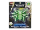 SQUISHY SPIDER ANATOMY SET