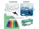 COLORING WASHABLE MAT