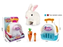 B/O PLUSH PET SET W/SOUND,2COLOURS(NO INCLUDED BATTERY)