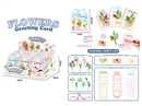 SURPRISE FLOWERS,18/DISPLAY BOX