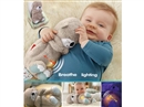 PLUSH SOOTHE TOY W/LIGHT