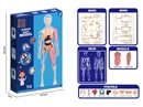3D HUMAN BODY MODEL