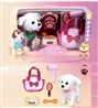智能牵绳狗：比熊犬